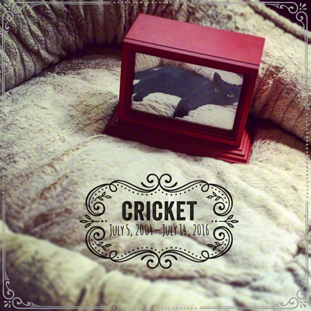 Crickets Urn Insta Version R Olson 450.jpg Crickets Urn Insta Version R Olson 450